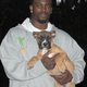 Illustration for article titled Michael Vick, Somehow, With Even Less Credibility